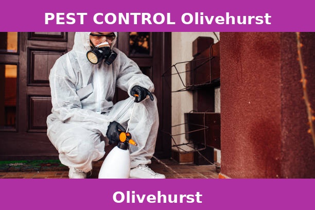 PEST CONTROL Olivehurst